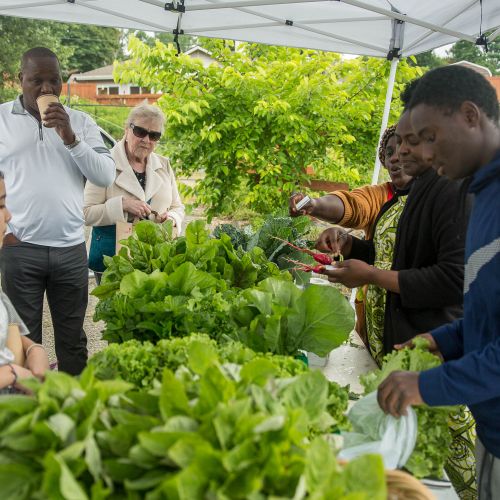 Several adults and a child gathered around tables laden with fresh leafy greens.