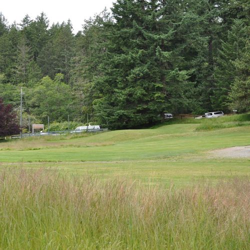 A mown,  gently sloping area in the center of the photo with tall grass in the foreground and trees in the background.