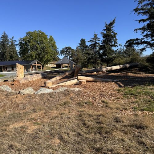 A mulched area with stumps and logs arranged at different angles.