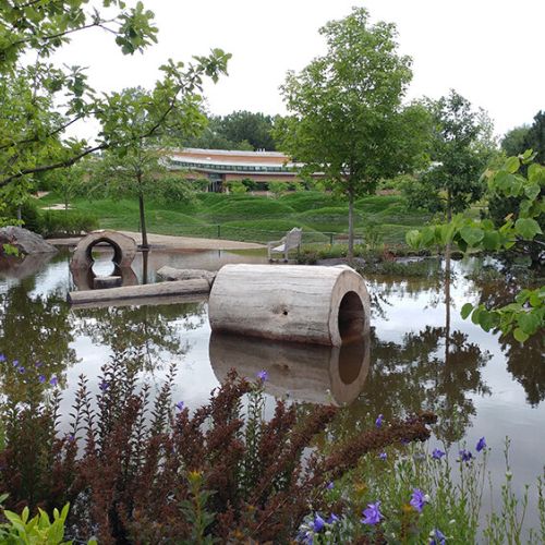 Hollow logs partially submerged in water are surrounded by trees, shrubs, and perennial plants.