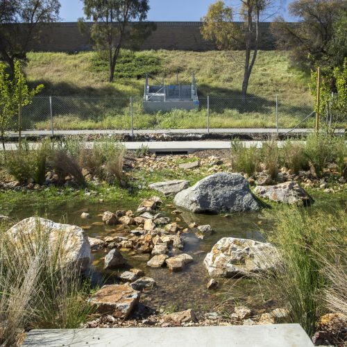  An area filled with rocks and plants holds standing water, with a path, hillside, and retaining wall in the background.