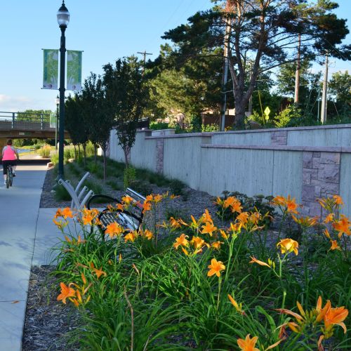 People on bicycles ride along a wide, flat concrete path. A river is on their left. On the right are orange daylilies, a bench, and a concrete wall.