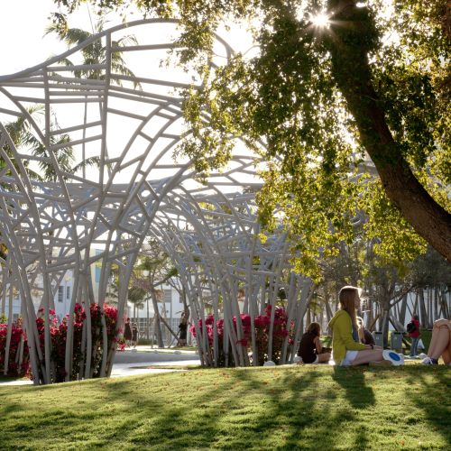 Several large, vase-shaped trellises hold plants with magenta flowers. People sit on a grassy area under a tree.