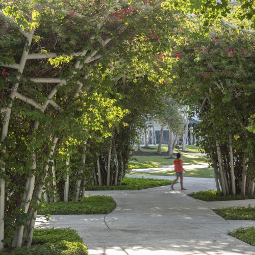 Person walking on a wide sidewalk flanked by pergolas covered with flowering vines.