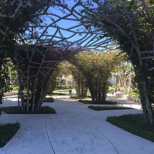 Arching trellises planted with vines that cast shade on the concrete walkway. 