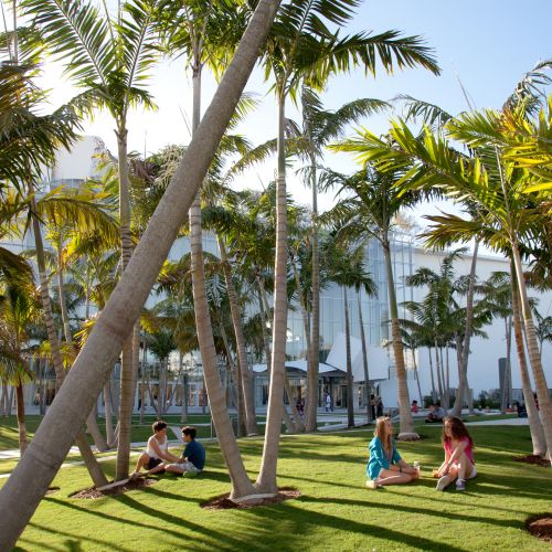 People sit on a grassy area with palm trees planted throughout. There’s a large building in the background.