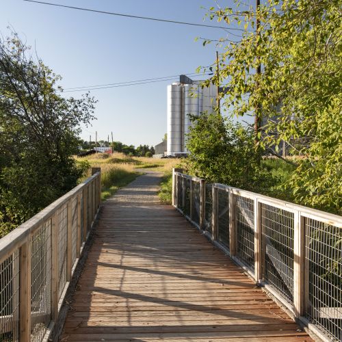 A wooden pedestrian bridge with trees on either side and a large building in the rural background.
