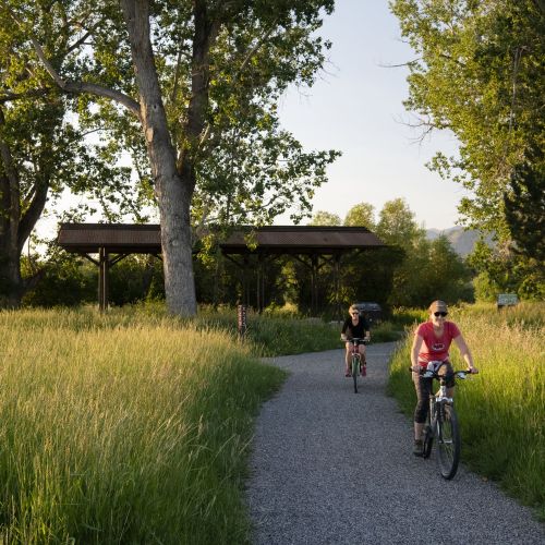 Two people on bicycles on a gravel path with tall grass on the left and right and a covered structure and trees in the background.