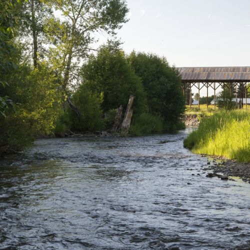 River with a covered structure in the background, trees on the left bank of the river, and tall grass on the right.