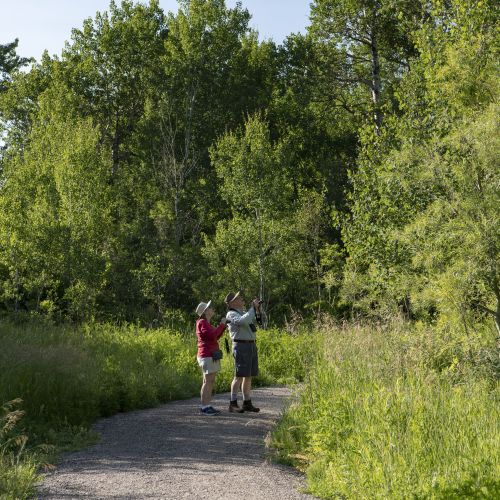 Two people standing on a gravel path looking up. There are trees and tall grass on either side of the path.