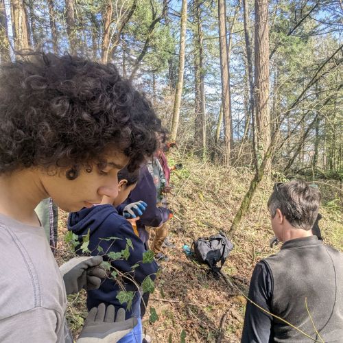 A youth participant inspects a vine of ivy with a gloved hand, as part of a service project where participants help Portland Parks & Recreation with removing invasive English ivy.