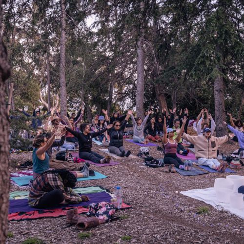 A large group of people sit barefoot or in socks on towels and yoga mats while in a sitting yoga pose. The people are sitting among coniferous trees in a forest as the sky begins to darken.