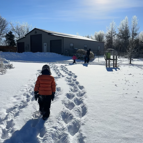 Child in red snow jacket and black snow pants walking through snow on a sunny day. A barn is in the background.
