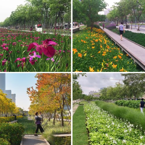 Collage of four photos of different gardens showing flowers, trees, and grasses during each season.