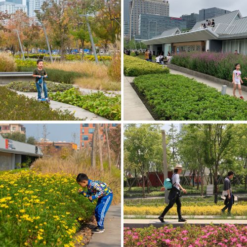 Collage of four photos shows people walking on sidewalks that run between various gardens.