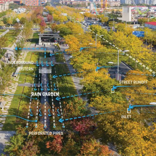 Aerial image with annotations and arrows showing water drainage pattern among the trees and gardens.