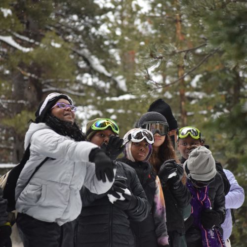 A group of youth in snow gear and goggles form snowballs in their hands. Snowy pine trees are in the background.