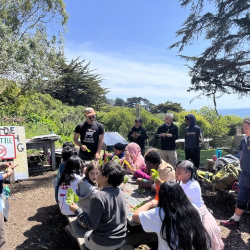 YES youth sit at picnic tables to handle leafy greens gathered from Slide Ranch’s edible gardens.