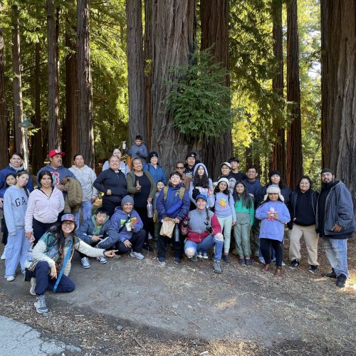 A large group of participants and staff gather for a picture in front of tall redwood trees to commemorate a Family Camp event.