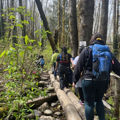 Participants maintain their balance as they walk in a line along a fallen tree trunk. Around them are dense woods and foliage