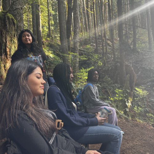 Four participants enjoy the sunlight that streams through the verdant trees around them. One participant stands while the other three relax in foldable chairs.