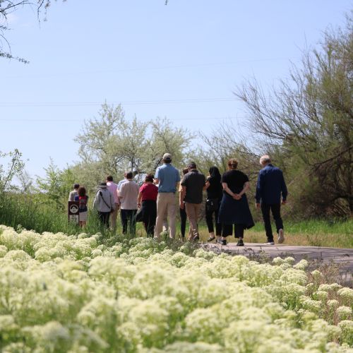 Nature walk along the Jordan River