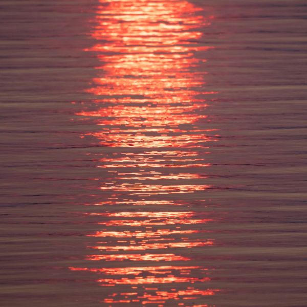 Summer sunset reflected on water 