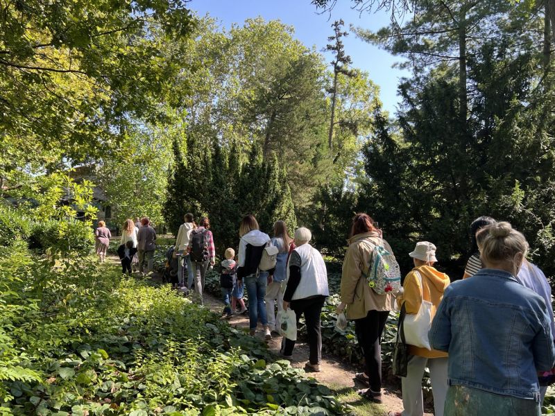 A long line of people walking along a sunny dirt path lined with tall trees and lush plants in the Odesa Botanical Garden.